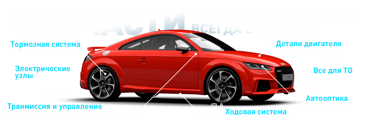 Автомобильные аксессуары AVS – оптом от производителя!